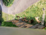 20140514_130348.jpg