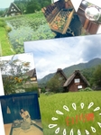 2014-08-22_14.43.19.jpg